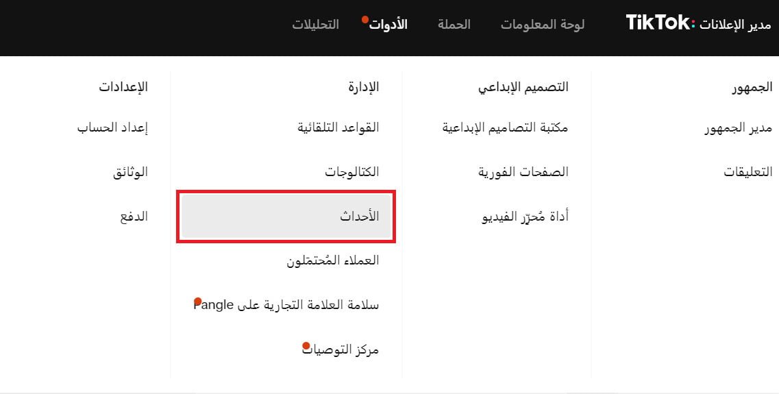 إنشاء Access Token لـ TikTok Conversion API